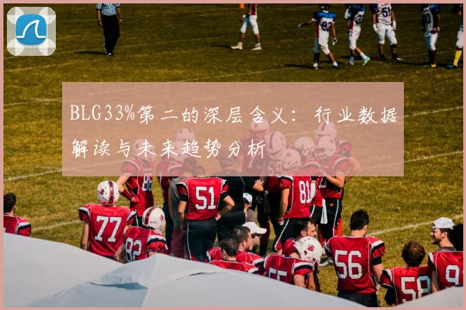 BLG33%第二的深层含义：行业数据解读与未来趋势分析