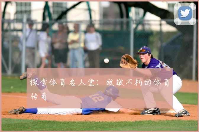 探索体育名人堂：致敬不朽的体育传奇